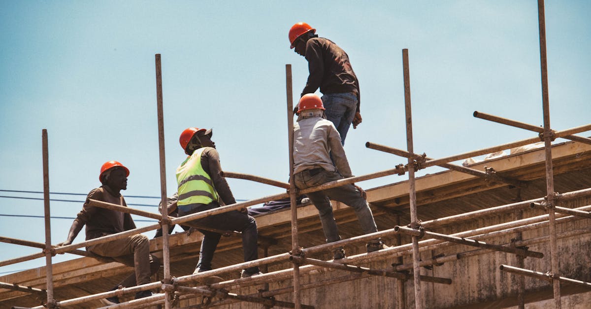 韩免铁塔猫济州岛(限定):时时彩平台登录代理