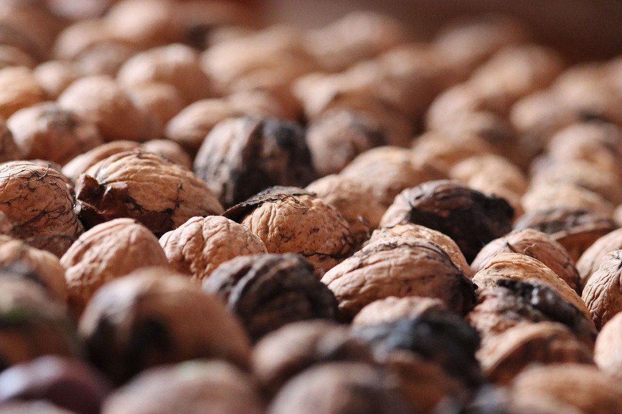 海航通信实名账号:moto 360二代详情下载教程app