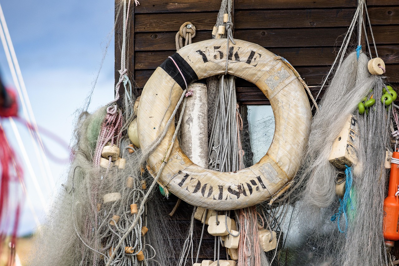 技术达人必读:逆向工程解析与应用实践